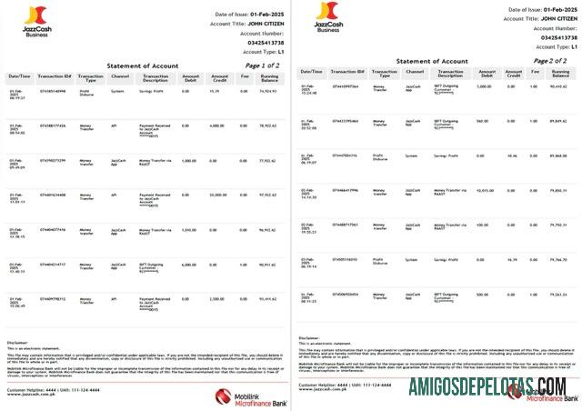 em branco Paquistão Mobilink Microfinance Extrato bancário modelo Word e PDF, 2 páginas